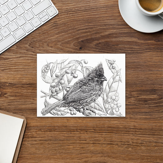 Northern Cardinal Greeting Card